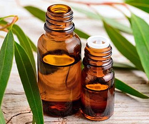 Sauna accessories eucalyptus oil